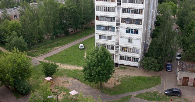 Мудаки и газоны
