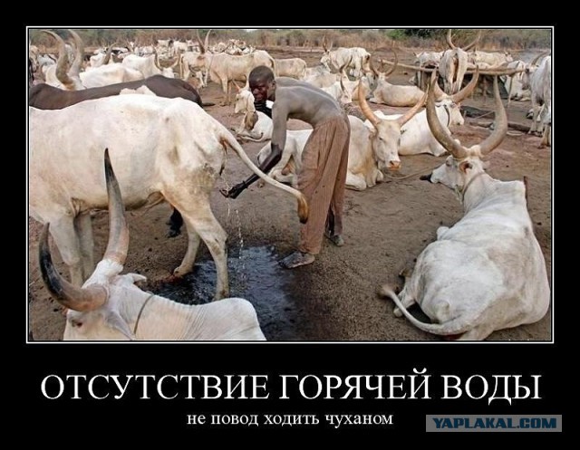 Демотиваторы.