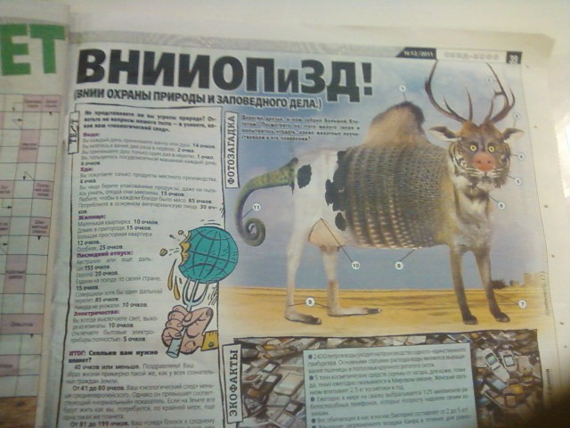 Картинки с инета.
