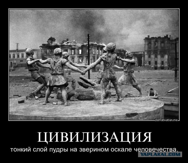 Эксперимент «Вселенная-25»: как рай стал адом