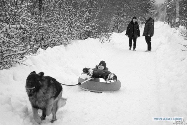 Россия в фотографиях, первая половина 2012