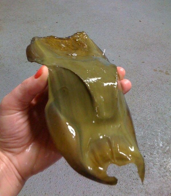 Загадочный предмет