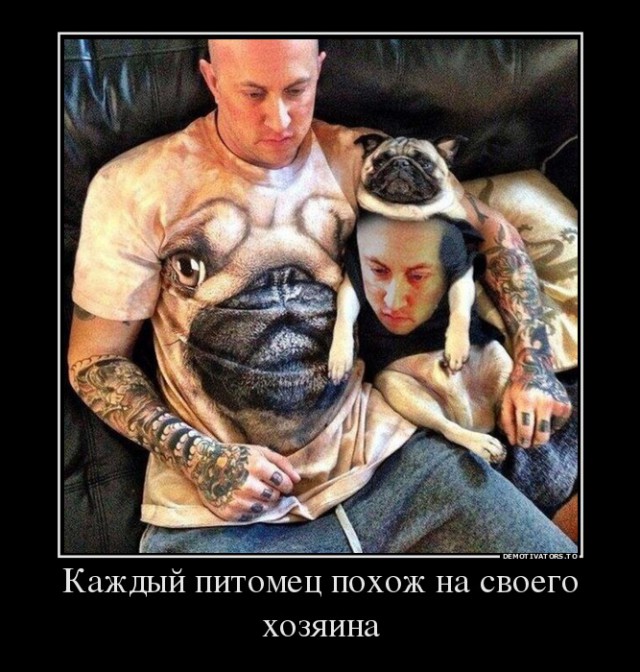 Весь в хозяина