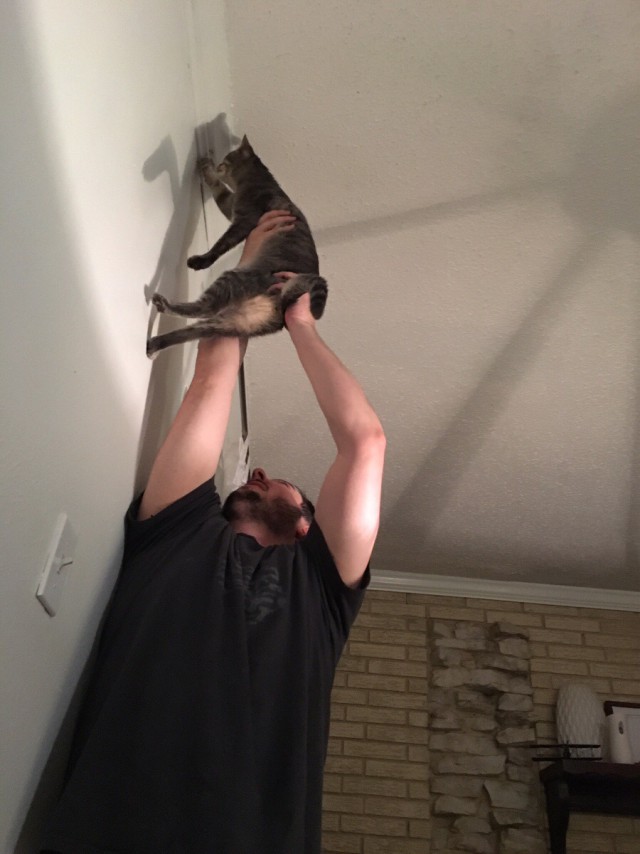 Как мама с сыном мышь ловили