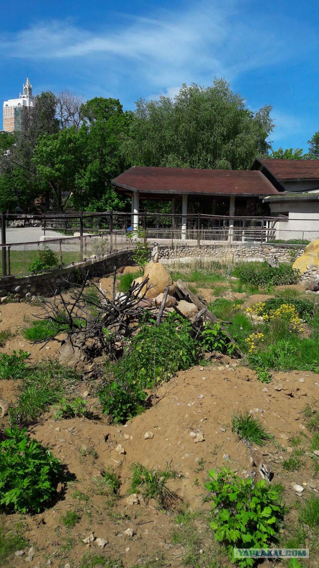 Подборка интересных и веселых фото