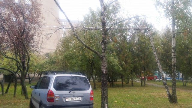 В Абакане снег, а как у вас погода, дорогие ЯПовчане?