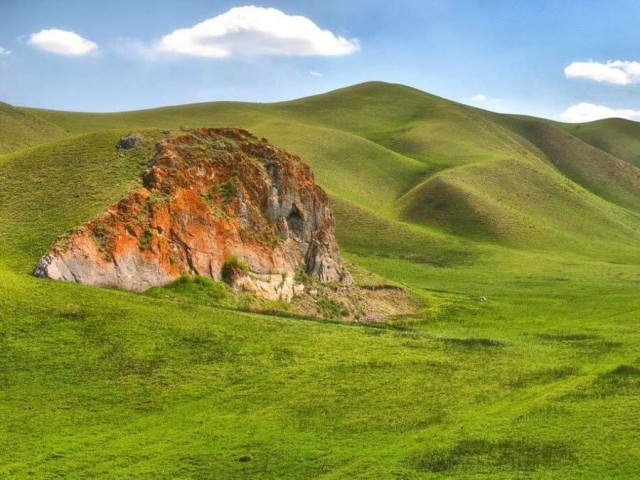 Моменты, запечатлённые на фото и просто позитив 5