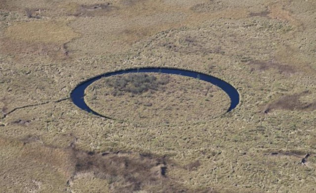 Загадочный круг в болотах Аргентины