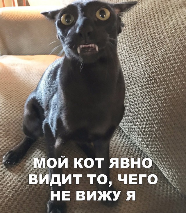Нестандартный юмор
