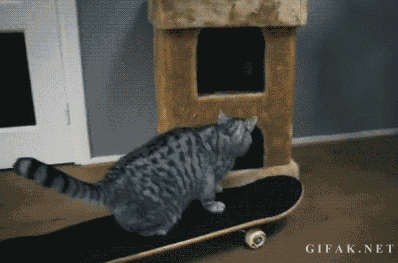 Подъехал, припарковался