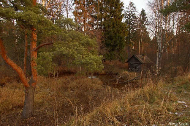 Двенадцать месяцев - история одной избушки