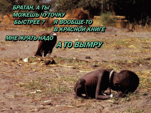 Немного картинок с надписями и без - 11