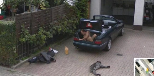 Google Street View показал топ-10 животных, случайно попавших в кадр
