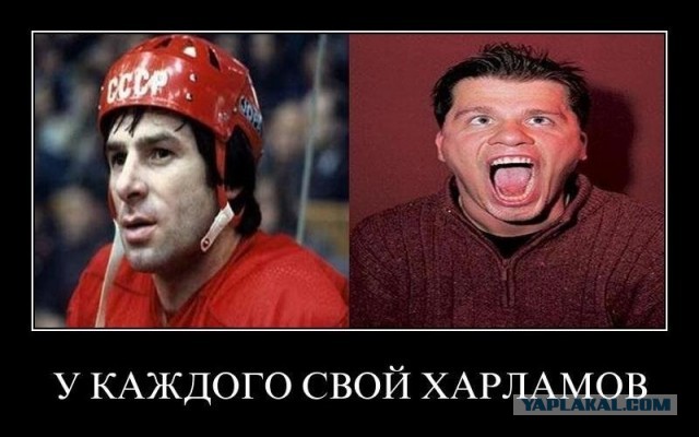 Какие они на самом деле? Батрутдинов и другие комедианты