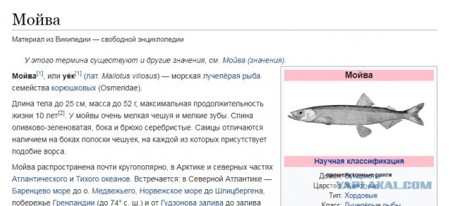 Посадку в Алматы крупнейшего в мире самолета показал на видео пилот