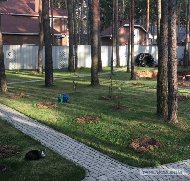 Гараж на даче. Осуществил мечту