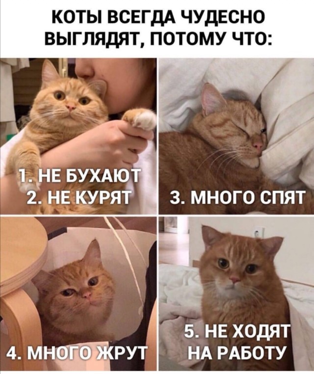 Мужчины живут меньше женщин из-за того, что всё время должны всем!