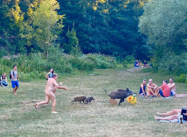 Беспорядочные картинки