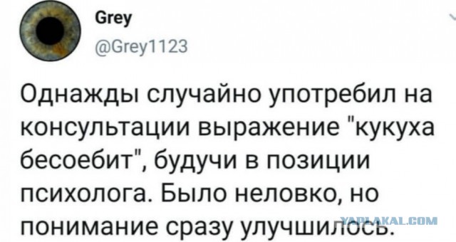 Кретинизмы в джипегах 25.10.20