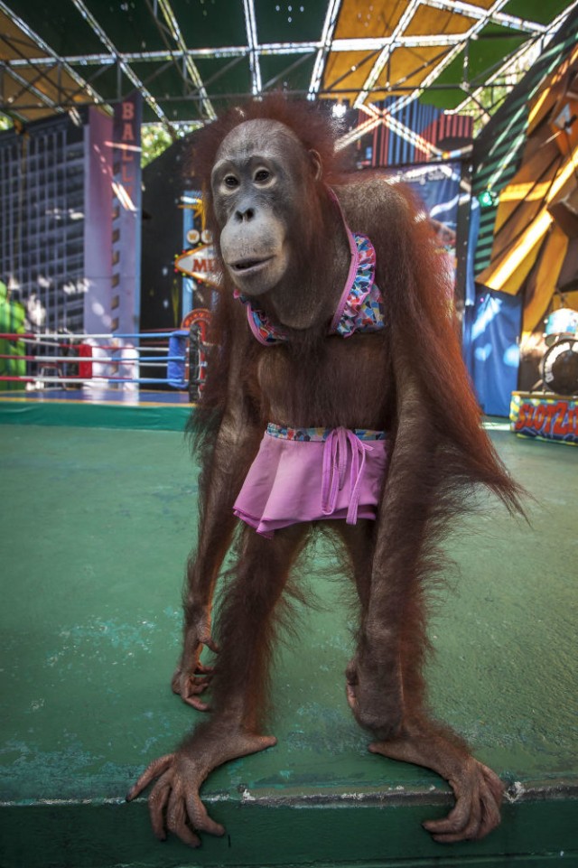 Девушки в бикини из соцсетей