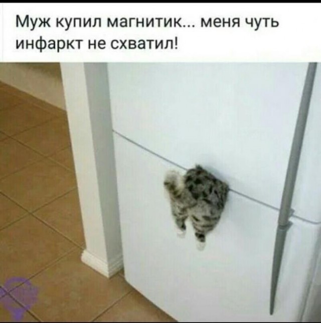 Картинок вам на утро