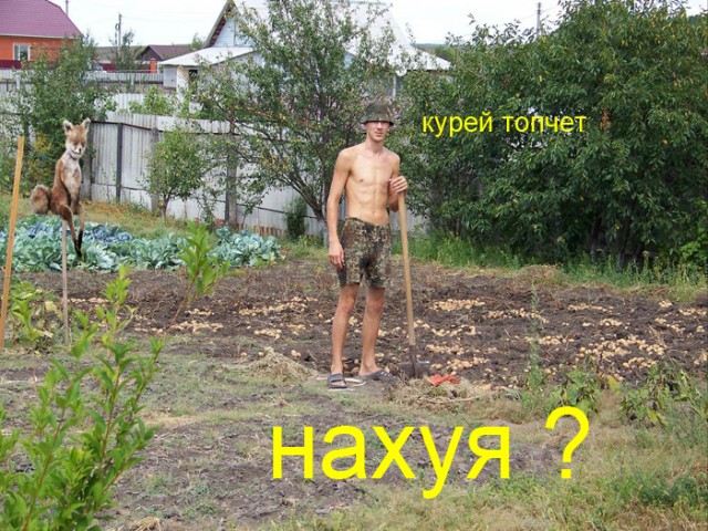 Таксидермия + наркомания