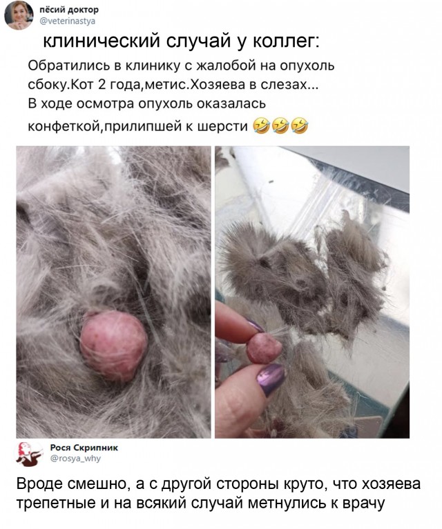 Картинки и мемы для настроения 30.01.21