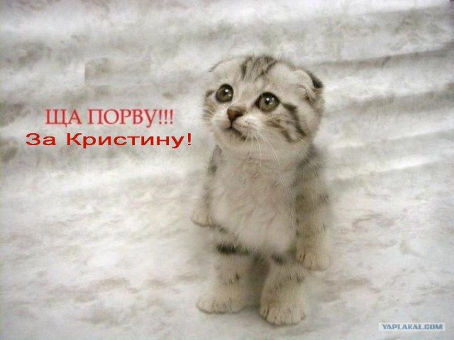 Альберт Акчурин: Порву за мою Кристиночку!