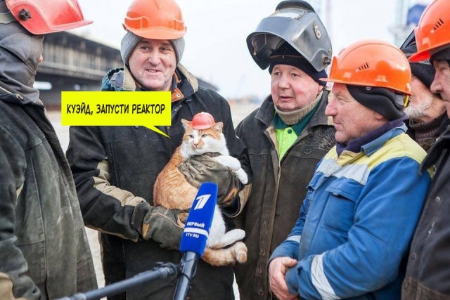 Картинки и мемы для настроения