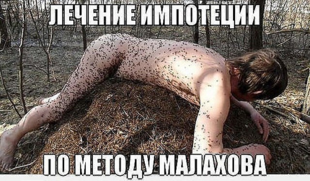 Картинки всякие и аморальные - 10