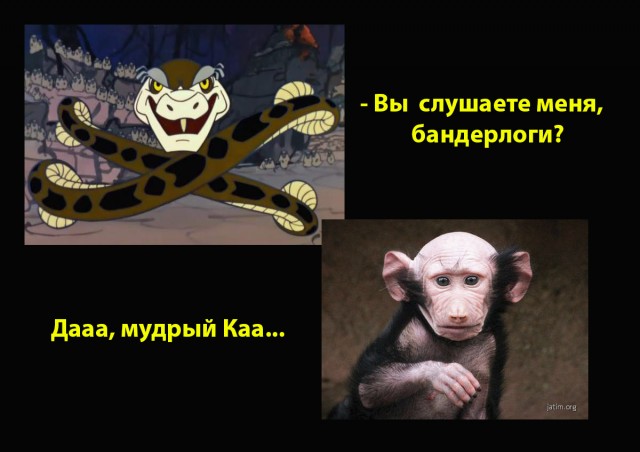Дагестанская свадьба
