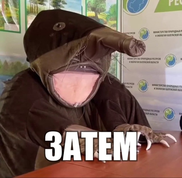 Рунет узнал о существовании выхухоля Хохули — маскота экологии Калужской области. И заодно помог ему сохранить должность