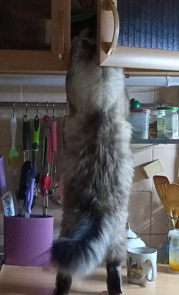 Взял погреть на ночь