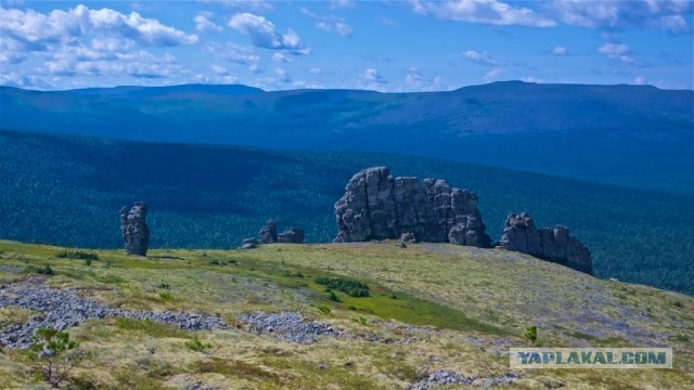 Болваны, я восьмой