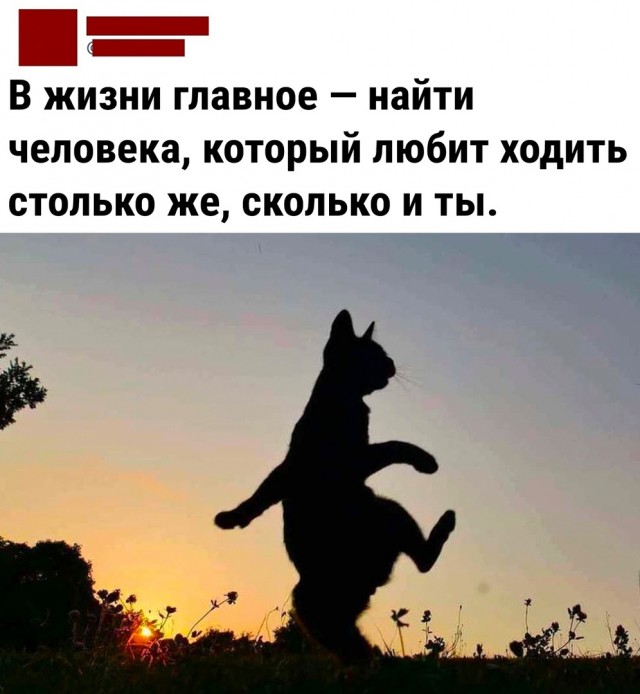 Так себе картинки 04.05.22