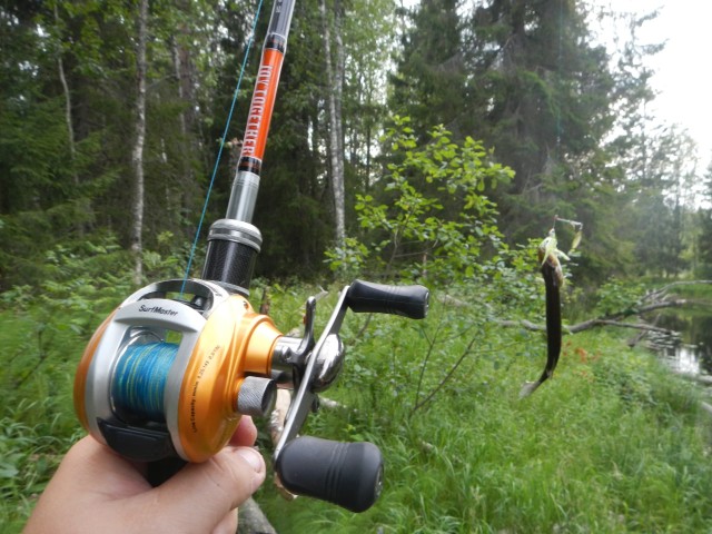 Рыбалка на малых реках Карелии
