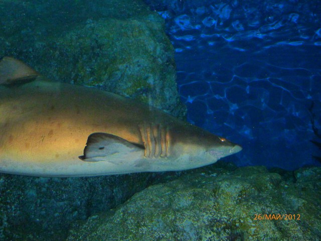 Путешествие в Таиланд.