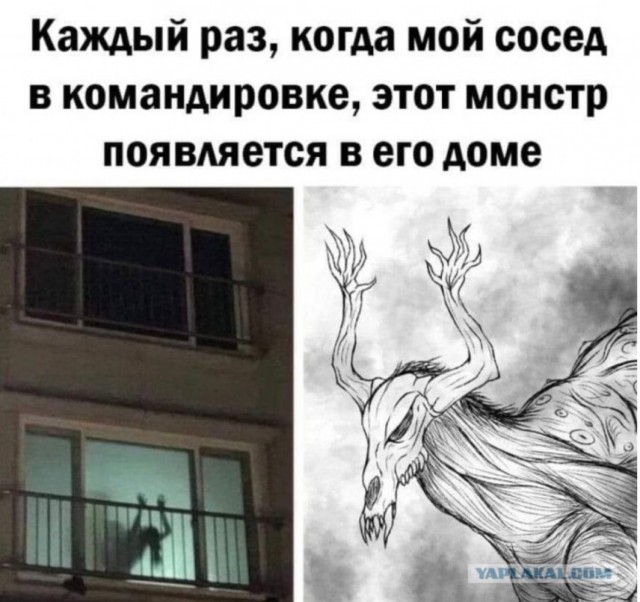 В питерском баре «Doskibar» происходит что-то очень странное