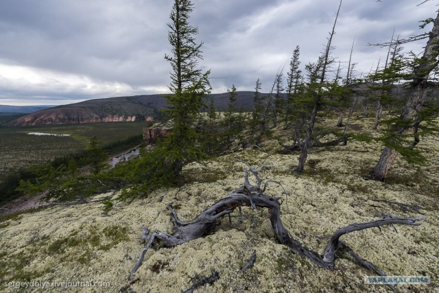Сплав по реке Котуйкан.