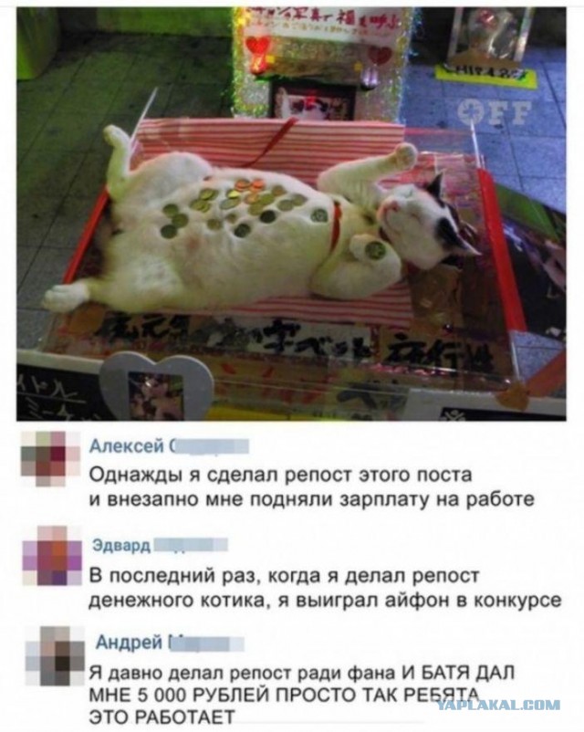 Скриншоты и комментарии из социальных сетей 10.12.22