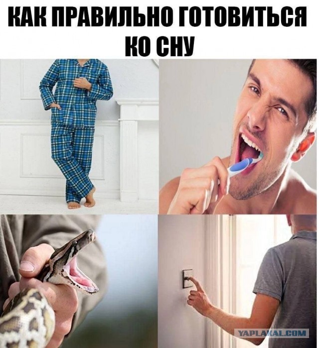 Немного мемчиков. Для взрослых. Часть 29
