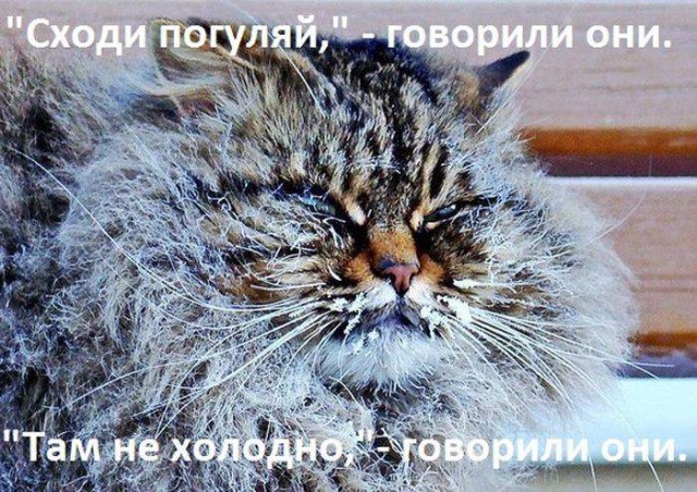 Картинки с надписями 14 03 22