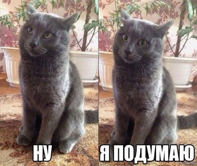 Победная поступь идиотизма по планете – том 14
