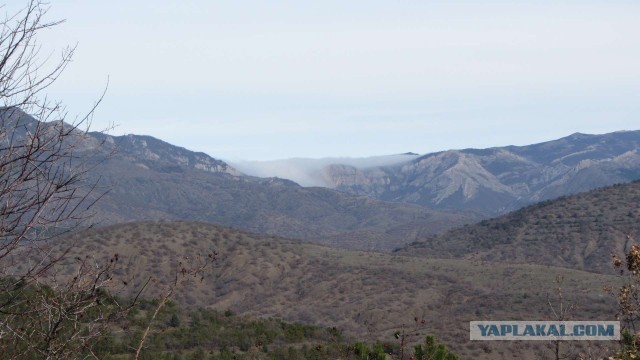 Крым в феврале или "Не стреляйте в белых лебедей!"