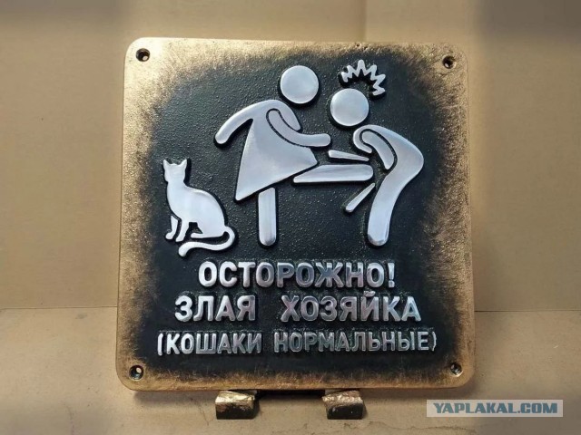 «Я могу быть невинной хоть сто раз». Капсулы девственности покорили Азию