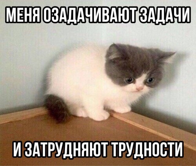 Просто картинки