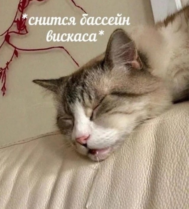 Засняли тебя после РАБоты