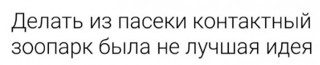 Всего понемногу. От 07.04.2024