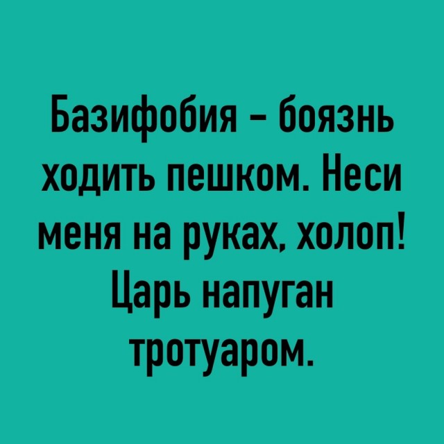 Так себе картинки 20.11.24