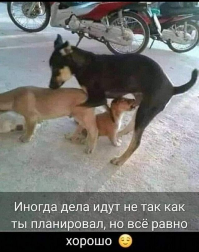 Так себе картинки 20.01.25
